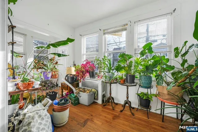 a dining room filled with furniture and a potted plant