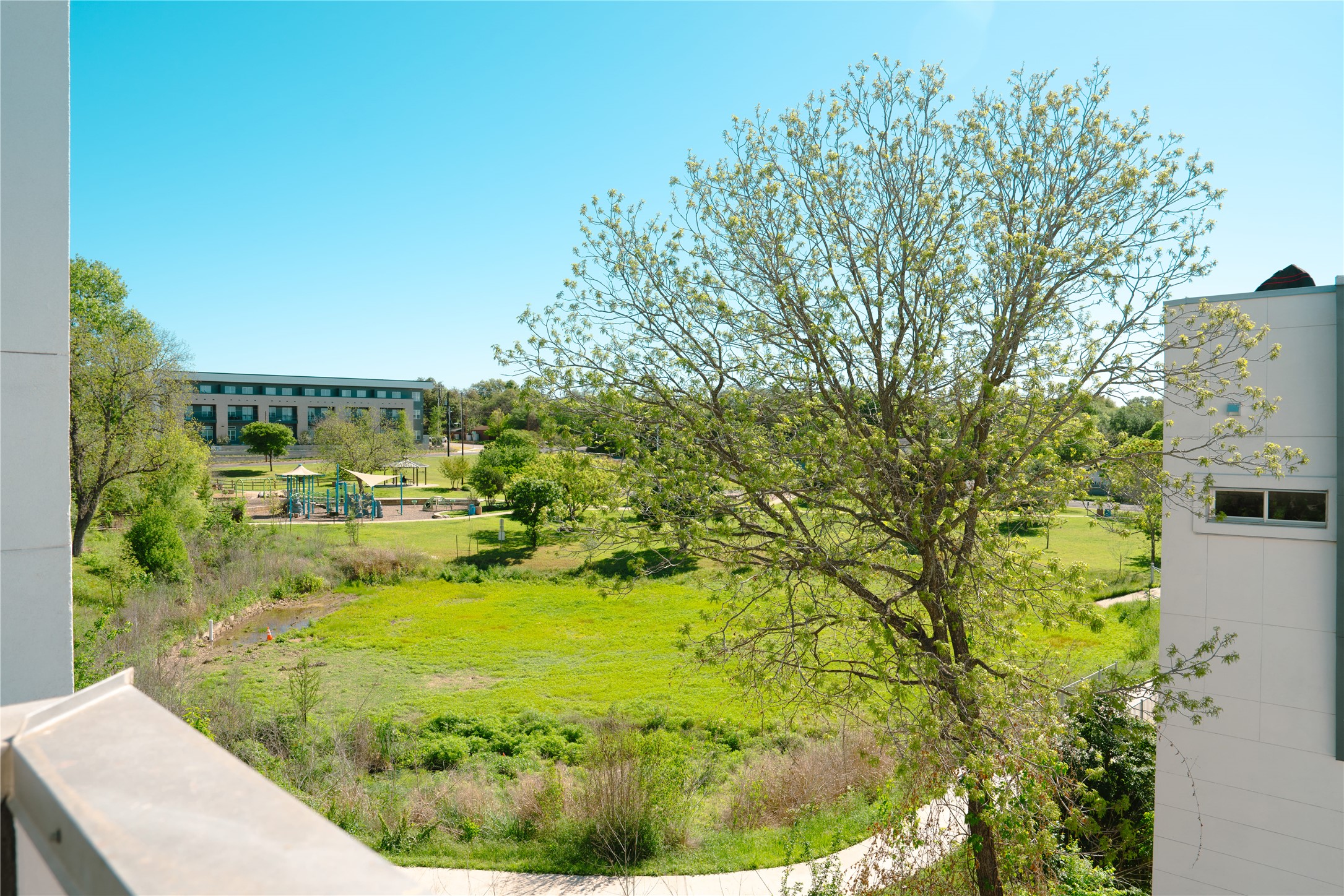 4801 South Congress Avenue, Unit H5 Austin, TX 78745 - Photo 30 of 39 View of green lawn