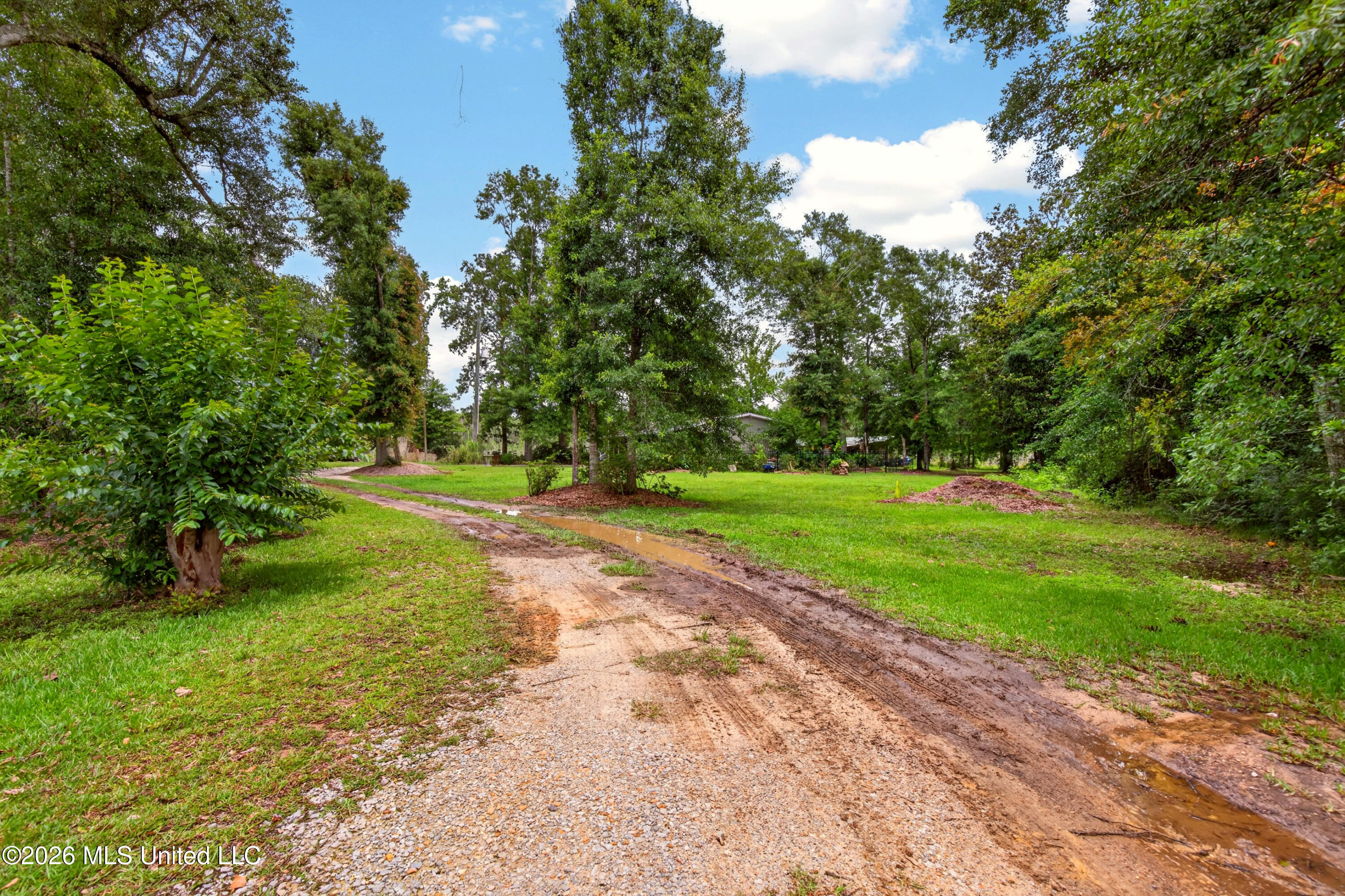 17990 Cuevas Road Kiln, MS 39556 - Photo 6 of 76 17990CuevasRd.-1