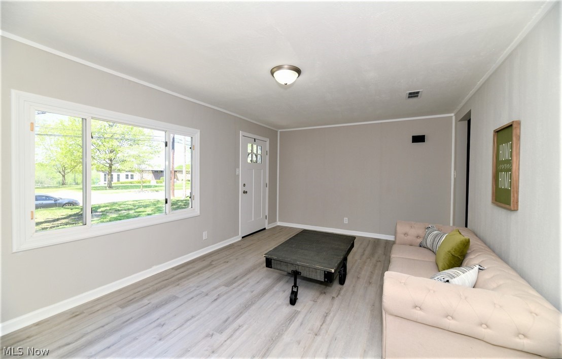 769 Patterson Avenue Akron, OH 44310 - Photo 6 of 27 *LIVING RM W/PICTURE WINDOW, UPDATED VINYL WINDOWS, LUXURY FLOORING, GREY WALLS AND WHITE TRIM ~
