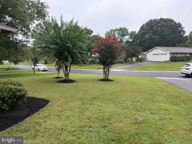a view of an outdoor space and yard