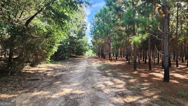 $440,000 | 3176 East Centerpoint Road, Preston, GA 31824