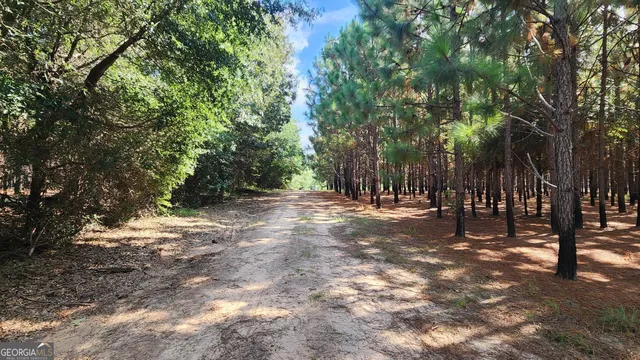 a view of outdoor space with trees