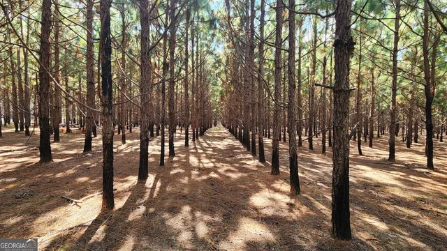 a view of outdoor space with lots of trees