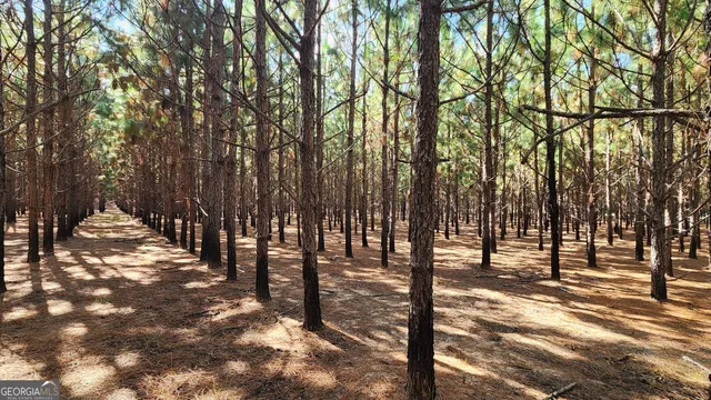 a view of outdoor space with trees