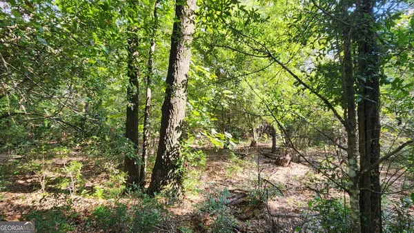 $440,000 | 3176 East Centerpoint Road, Preston, GA 31824