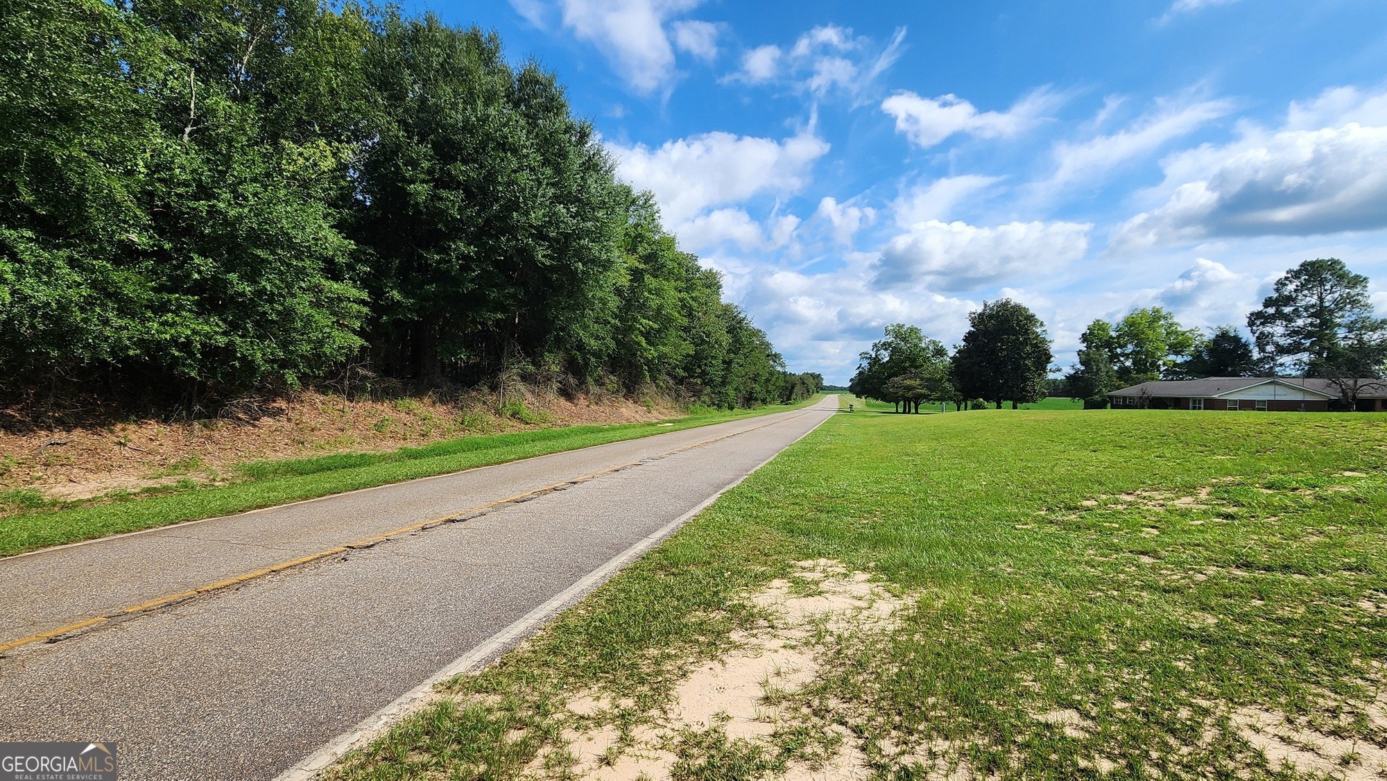 3176 East Centerpoint Road Preston, GA 31824 - Photo 25 of 44 a view of a golf course with a garden