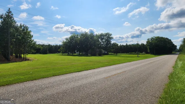 a view of a park with large trees