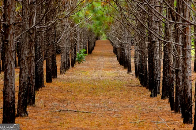 a view of an outdoor space with seating area