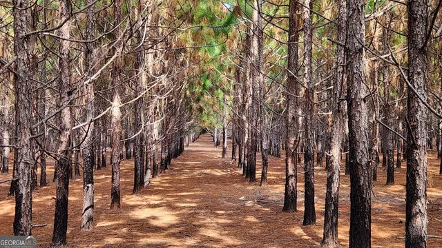 a view of field with trees in the background