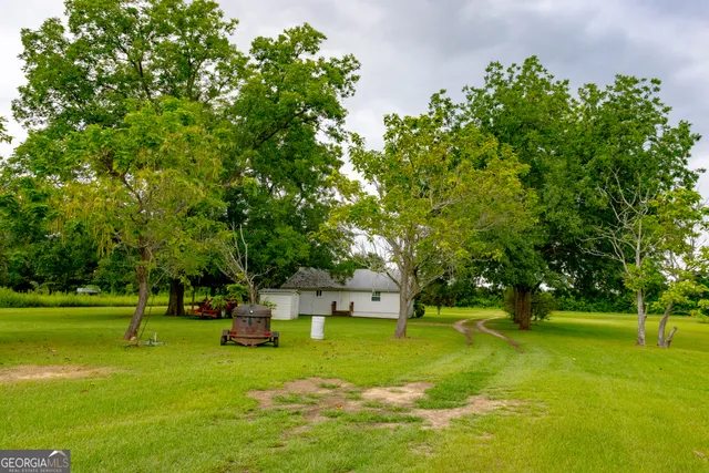 a view of a trees in a yard with large trees