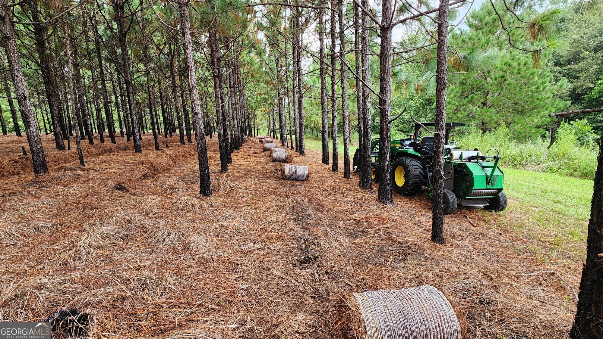 3176 East Centerpoint Road Preston, GA 31824 - Photo 4 of 44 a view of outdoor space with seating area