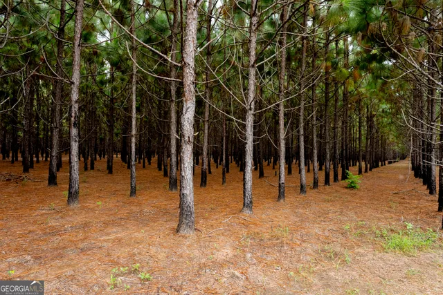 a view of basketball court