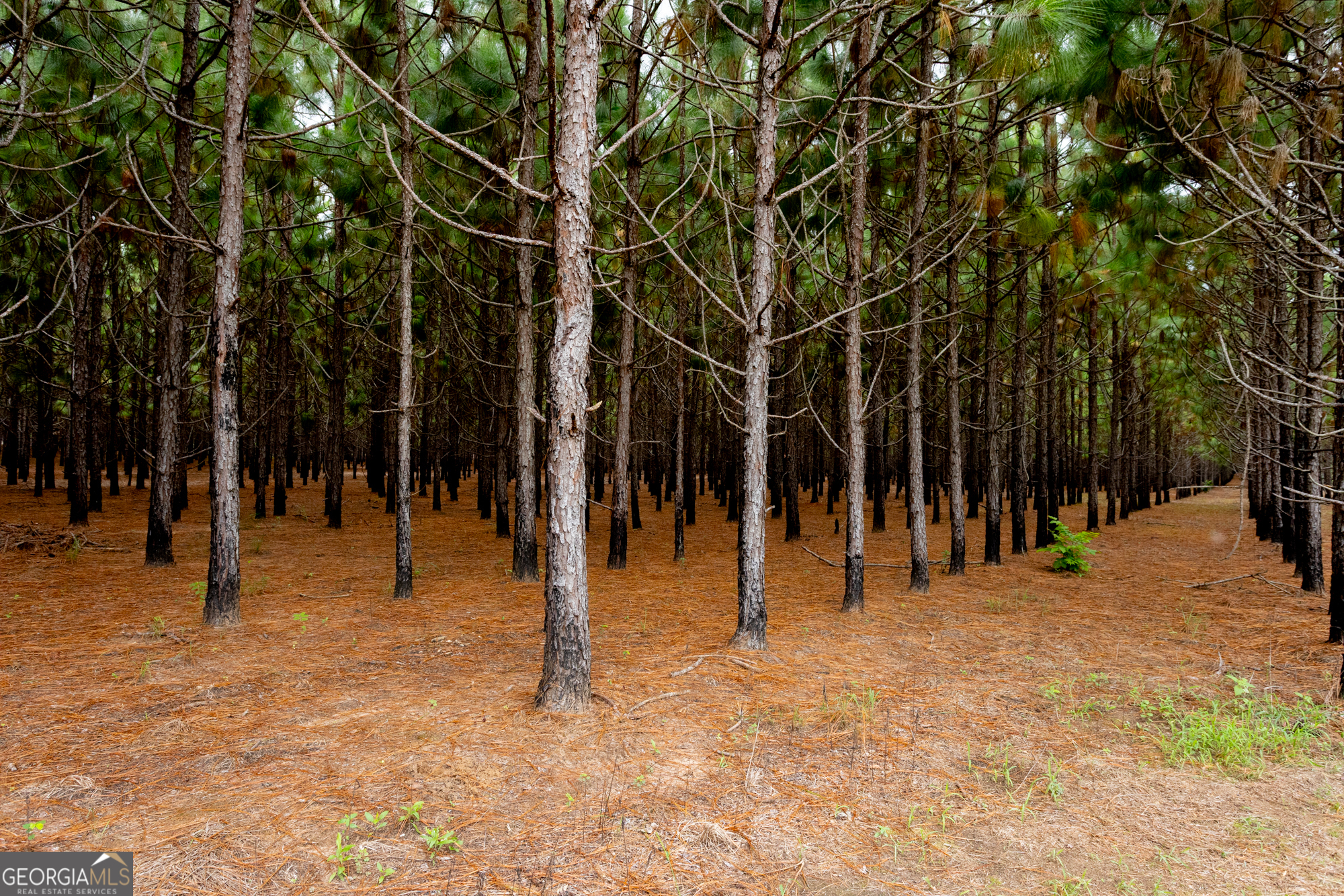 3176 East Centerpoint Road Preston, GA 31824 - Photo 41 of 44 a view of a basketball court