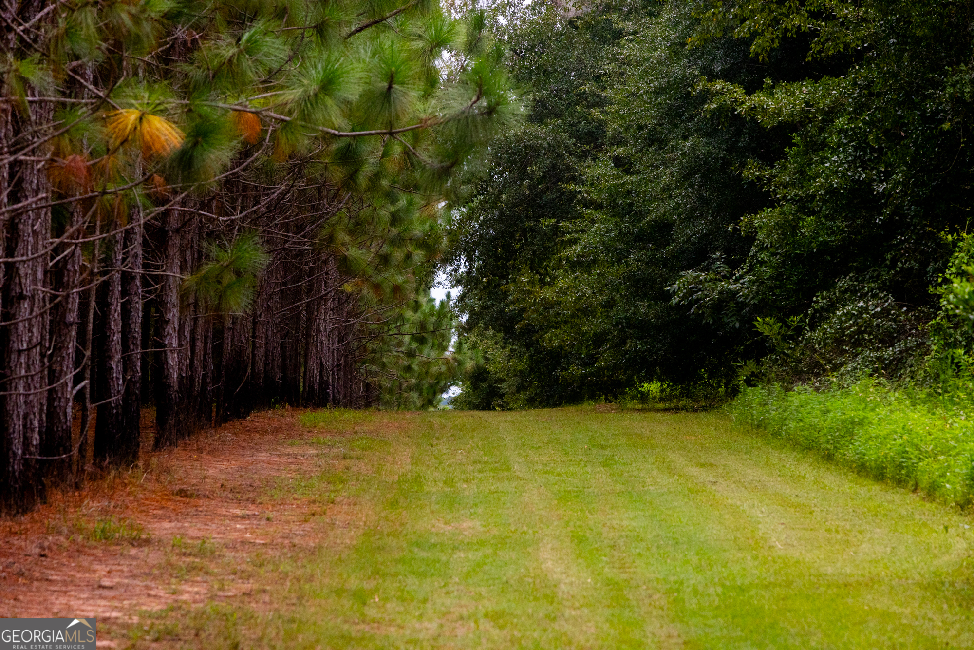 3176 East Centerpoint Road Preston, GA 31824 - Photo 42 of 44 a view of basketball court
