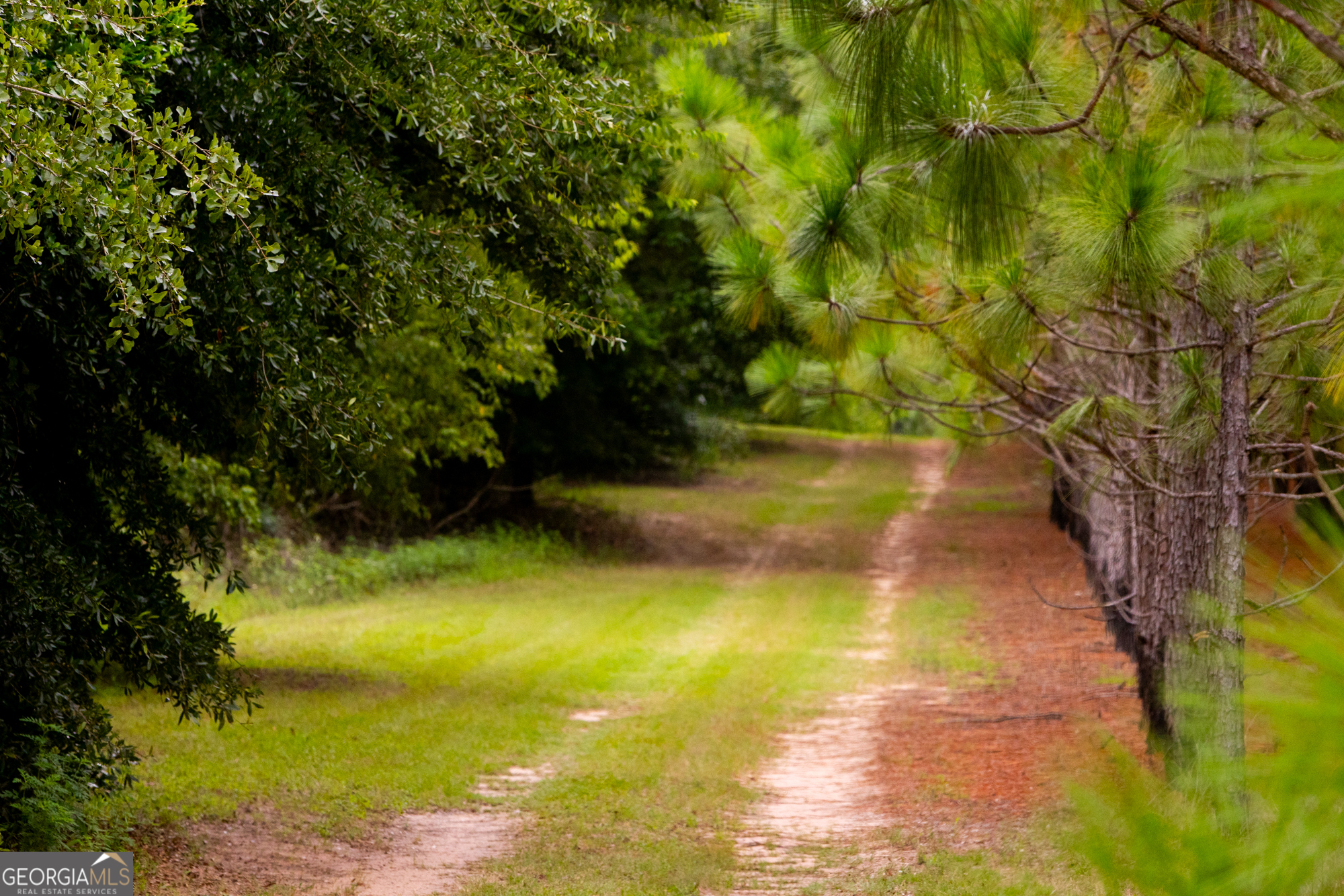 3176 East Centerpoint Road Preston, GA 31824 - Photo 44 of 44 a view of an ocean