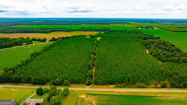 $440,000 | 3176 East Centerpoint Road, Preston, GA 31824