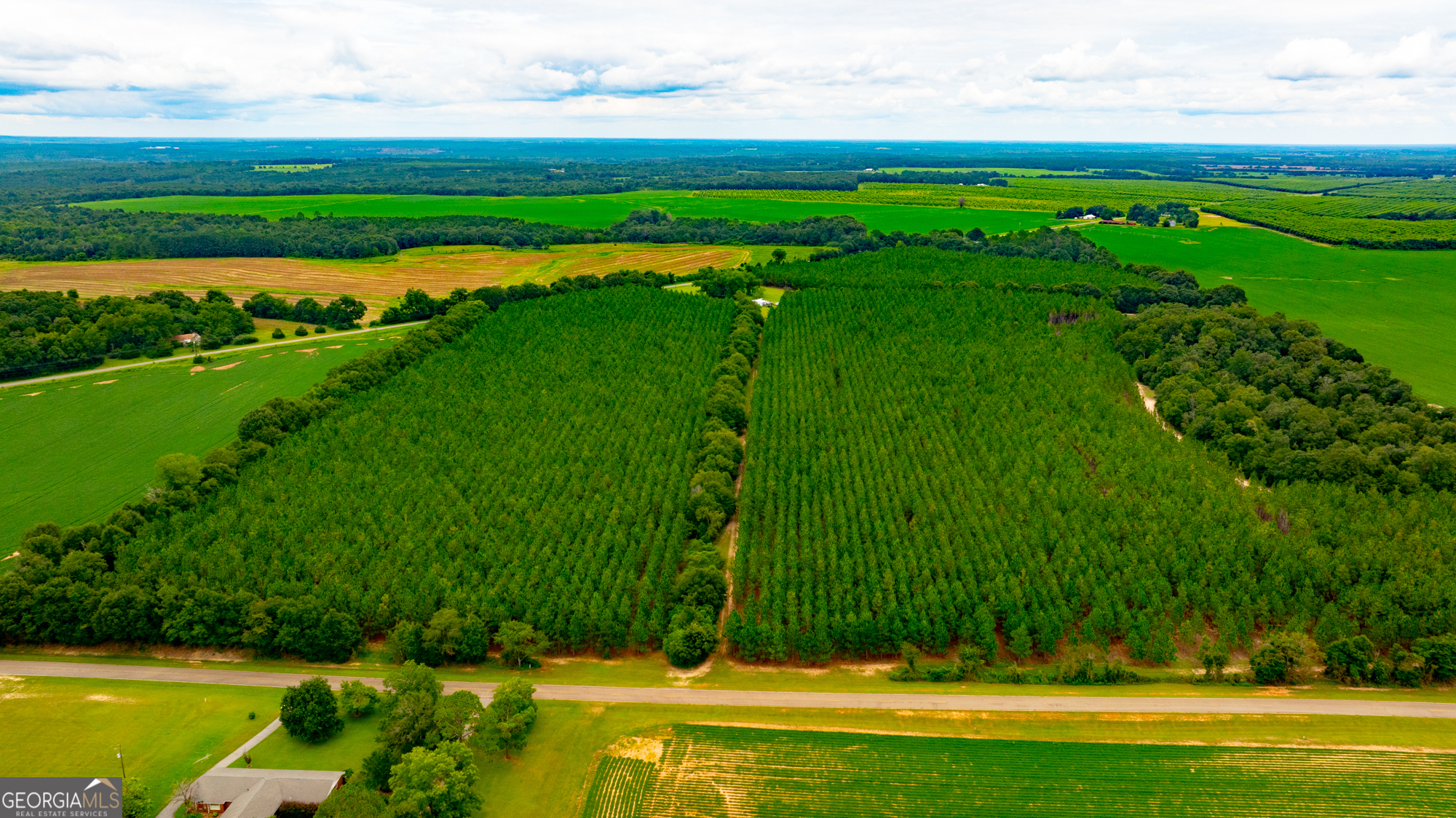 3176 East Centerpoint Road Preston, GA 31824 - Photo 6 of 44 a view of a golf course with a lake view