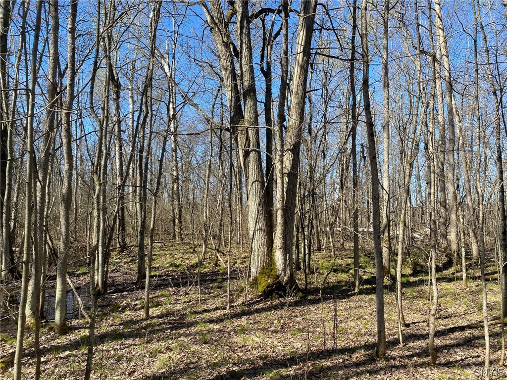 0 Spile Bridge Road Heuvelton, NY 13654 - Photo 13 of 27 Basswood