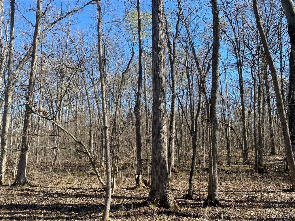 0 Spile Bridge Road Heuvelton, NY 13654 - Photo 15 of 27 White Oak