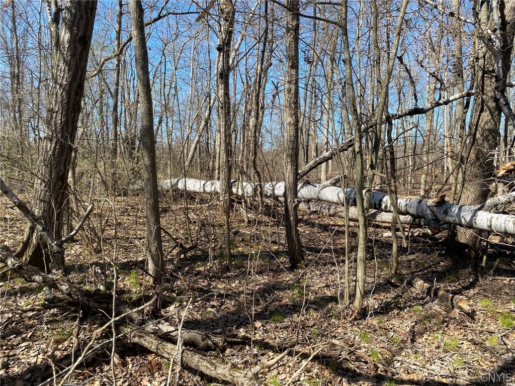 0 Spile Bridge Road Heuvelton, NY 13654 - Photo 20 of 27 Aspen Windfall