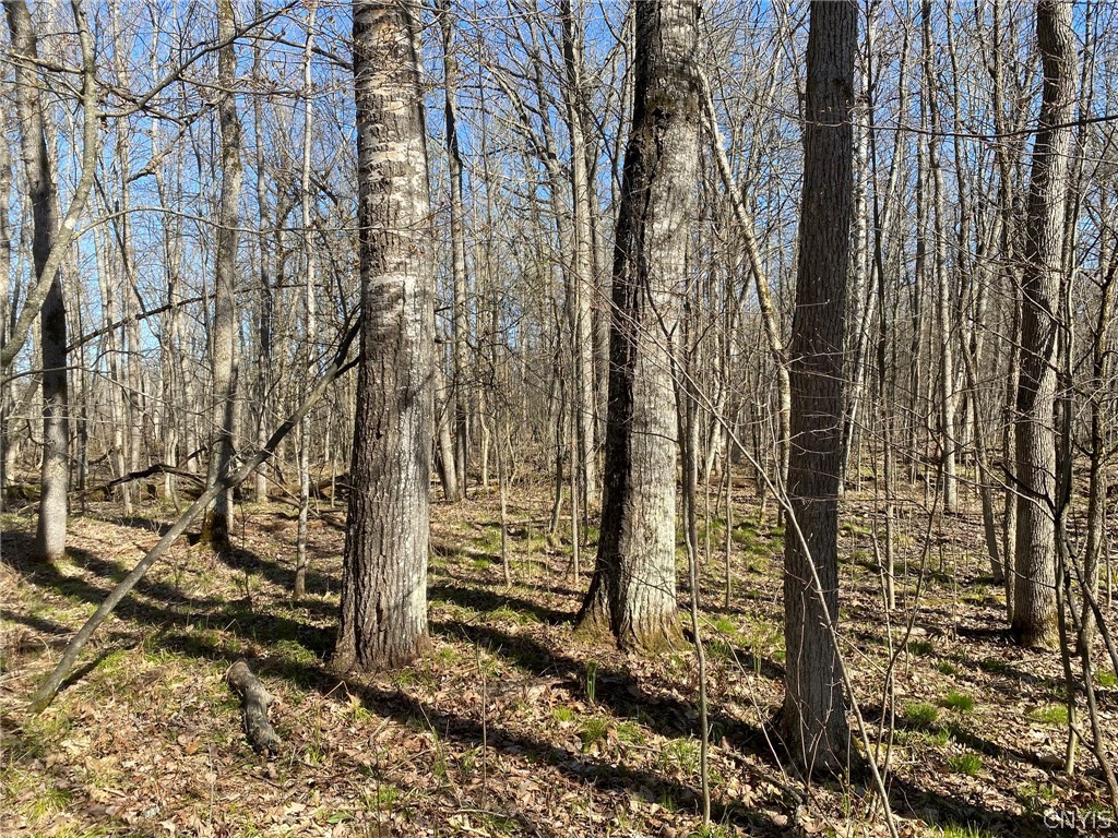 0 Spile Bridge Road Heuvelton, NY 13654 - Photo 2 of 27 Aspen & Ash