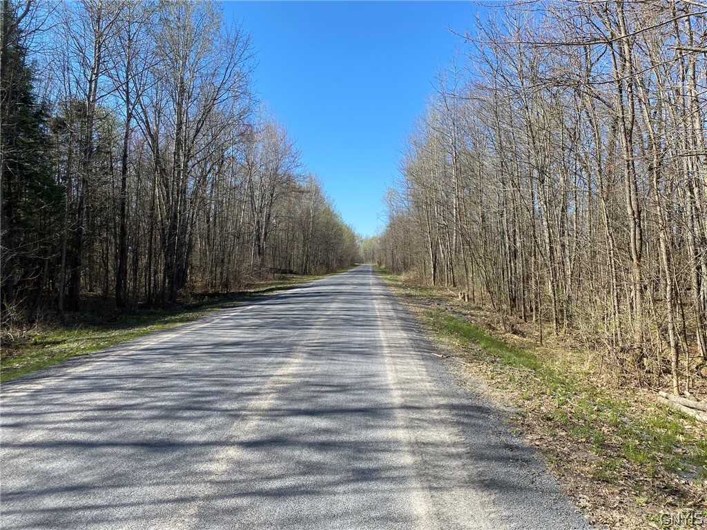 0 Spile Bridge Road Heuvelton, NY 13654 - Photo 21 of 27 Spile Bridge Road View South