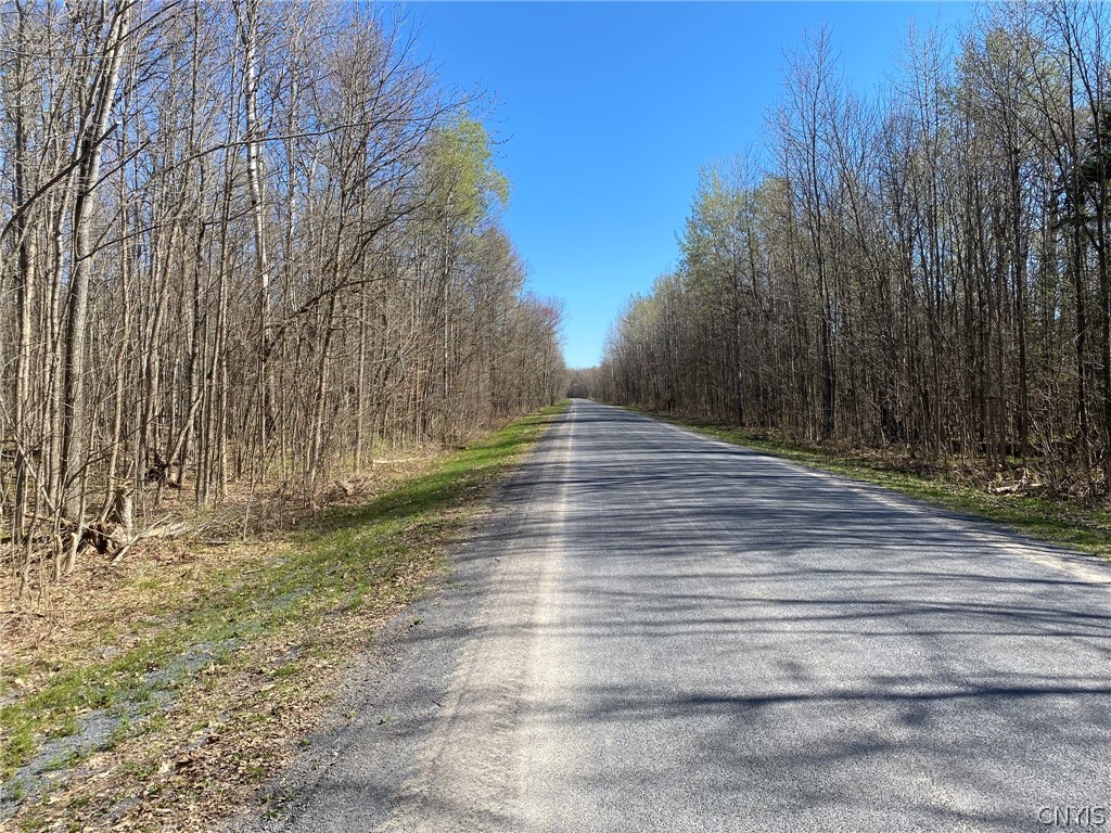 0 Spile Bridge Road Heuvelton, NY 13654 - Photo 22 of 27 Spile Bridge Road View North