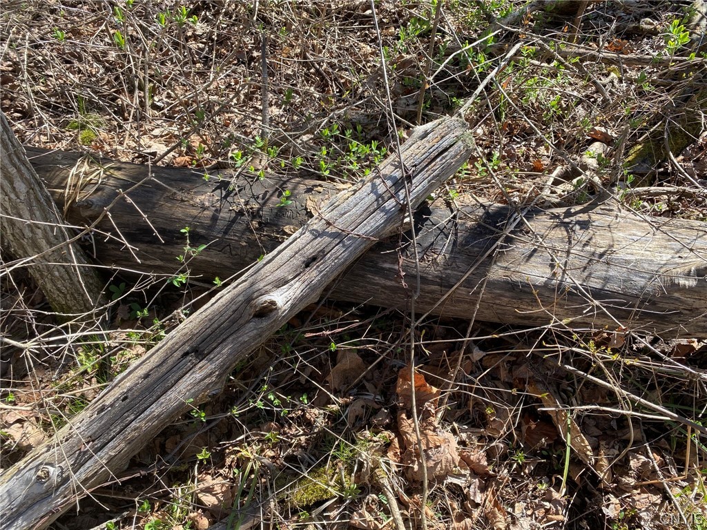 0 Spile Bridge Road Heuvelton, NY 13654 - Photo 23 of 27 Cedar Post & Barb Wire