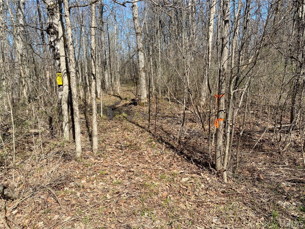 0 Spile Bridge Road Heuvelton, NY 13654 - Photo 25 of 27 Approximate West Boundary Corner
