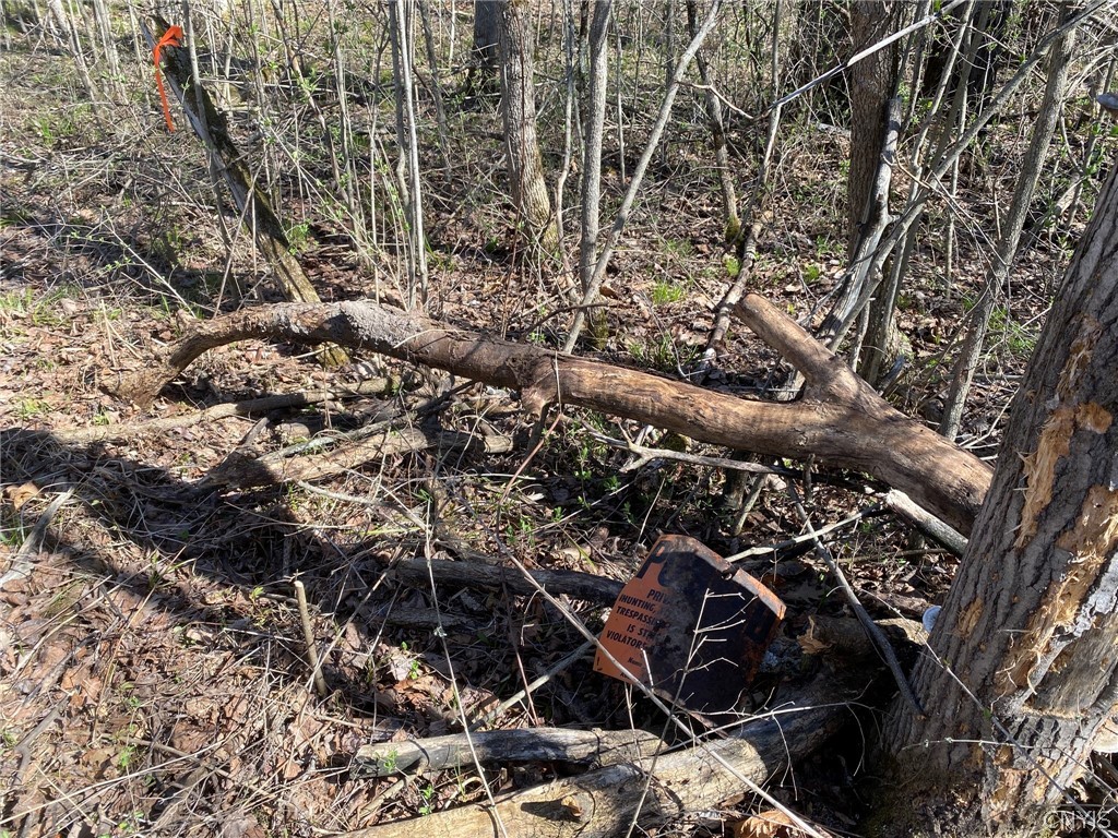 0 Spile Bridge Road Heuvelton, NY 13654 - Photo 26 of 27 Boundary Evidence
