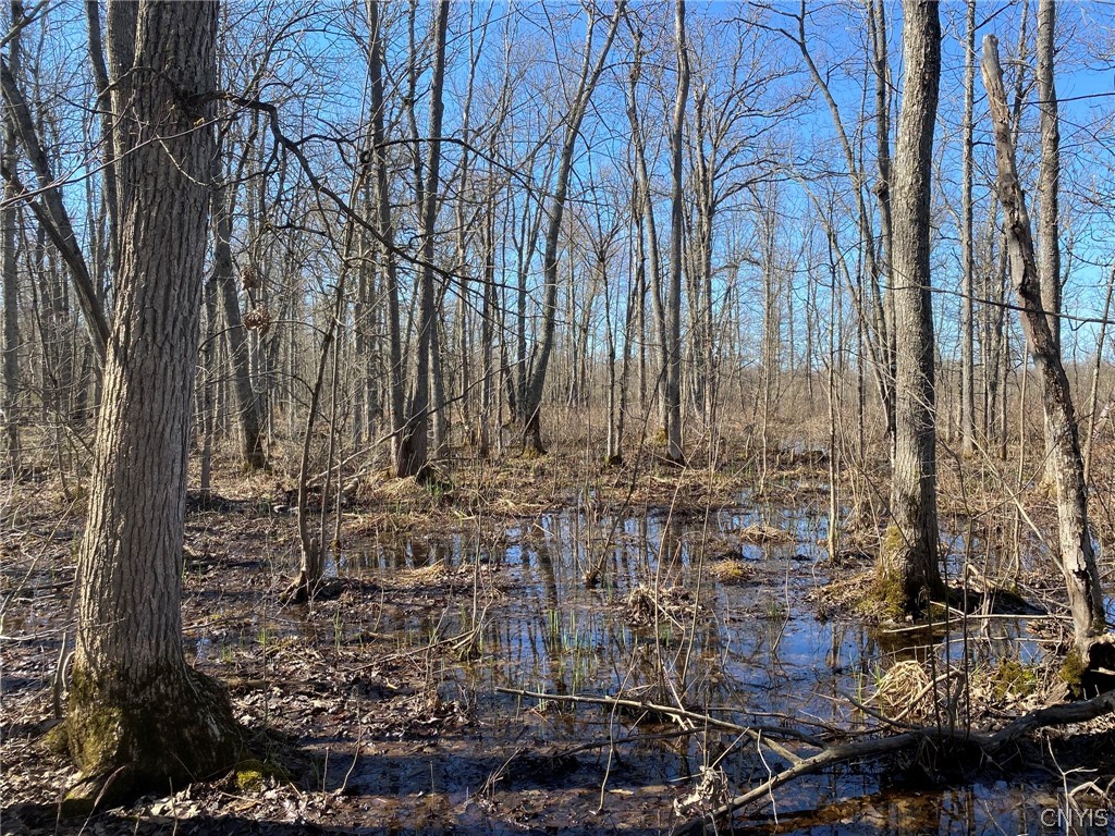 0 Spile Bridge Road Heuvelton, NY 13654 - Photo 3 of 27 Spring Wetland