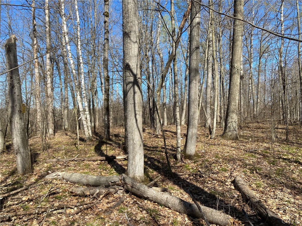 0 Spile Bridge Road Heuvelton, NY 13654 - Photo 5 of 27 Hardwoods