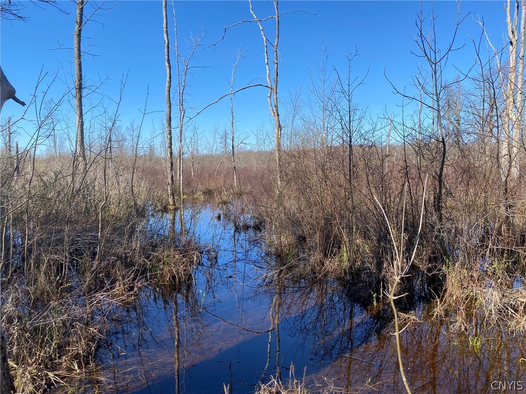 0 Spile Bridge Road Heuvelton, NY 13654 - Photo 6 of 27 Wetland