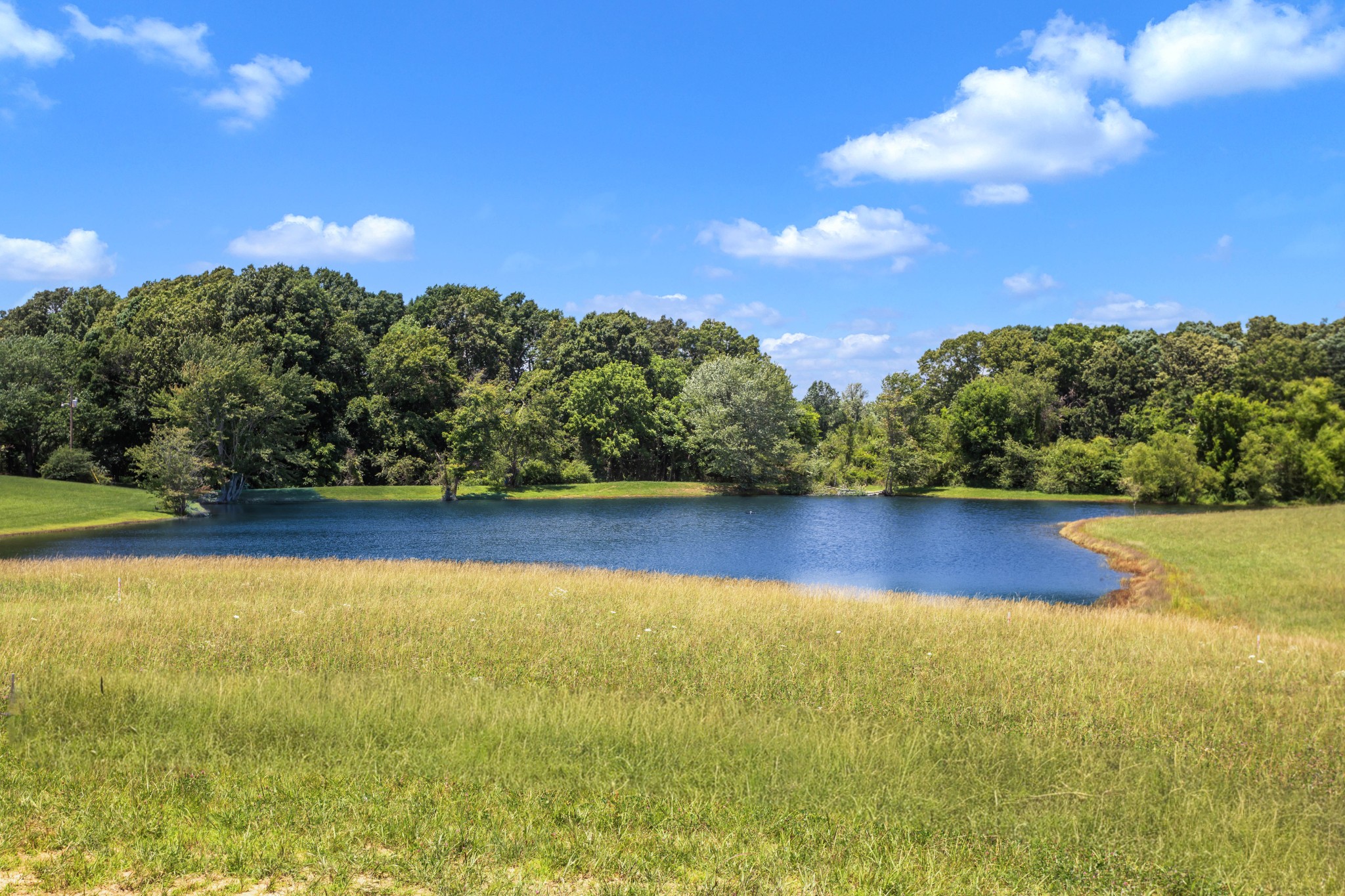 1171 Abiff Road Bon Aqua, TN 37025 - Photo 33 of 45
