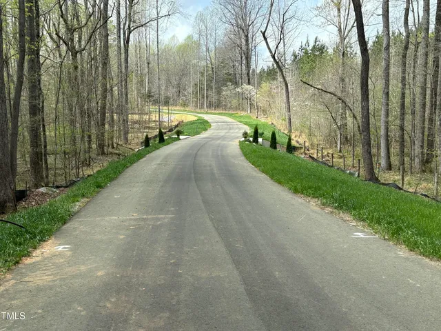 a view of a park with large trees