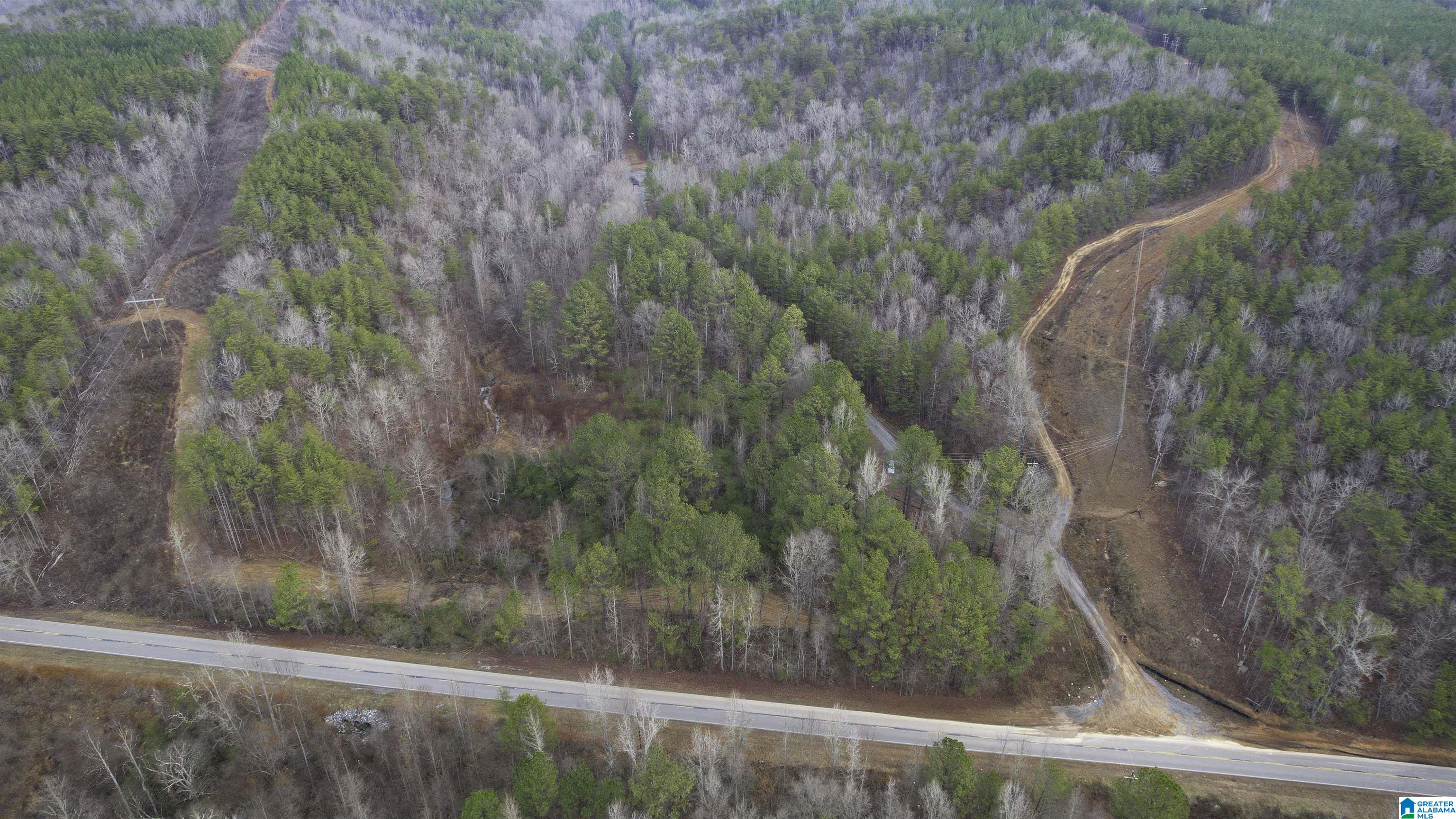 8751 Groundhog Road, Unit 41 ACRES Adger, AL 35006 - Photo 7 of 17