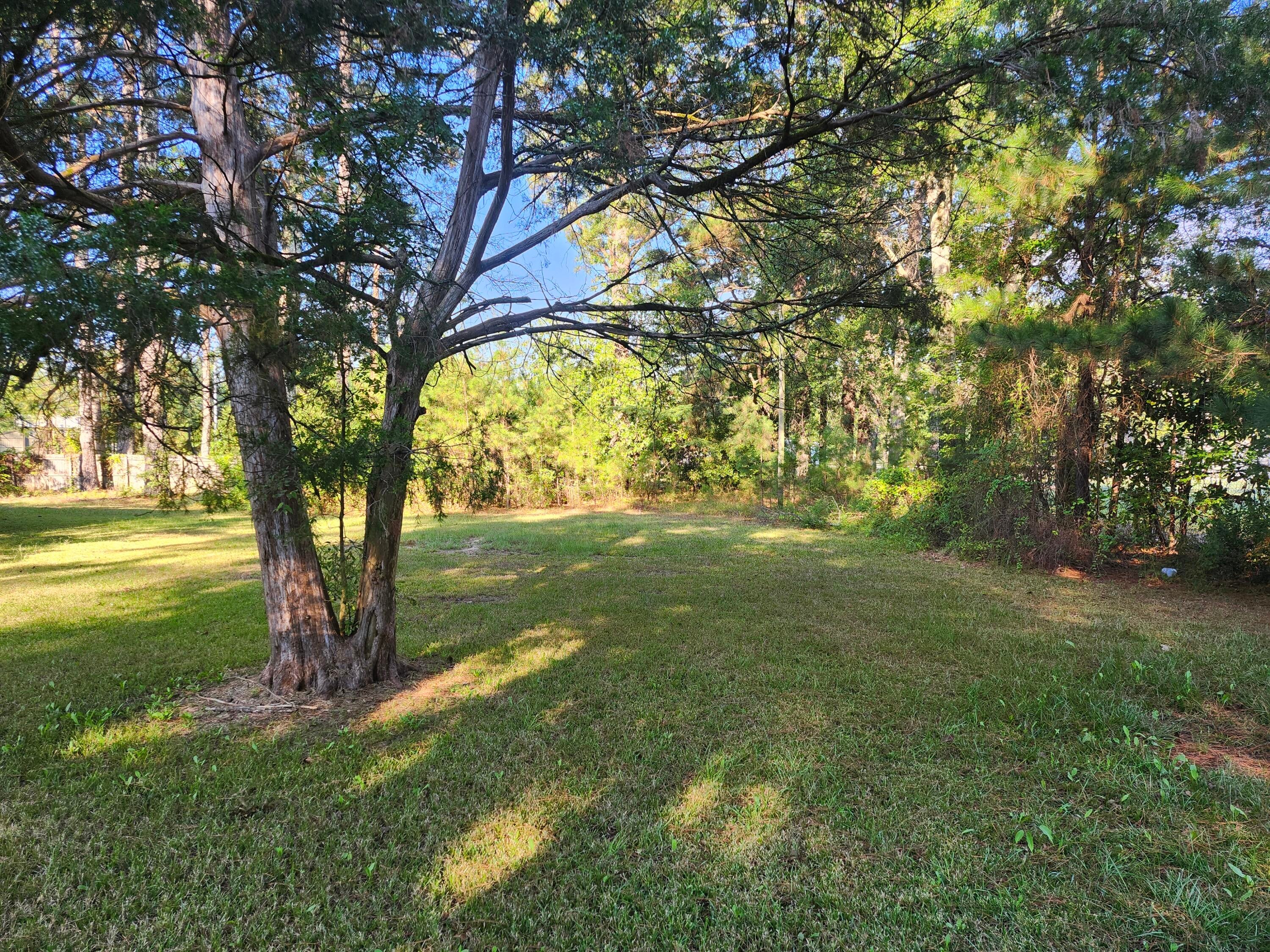 Bethay Avenue Nettleton, MS 38858 - Photo 1 of 1 Gallery Image 1