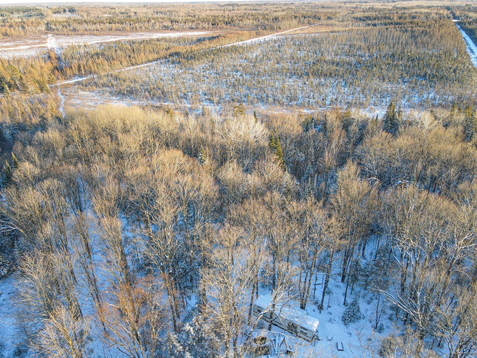 184.96 A Lewis Road Butternut, WI 54514 - Photo 13 of 14 Gallery Image 13