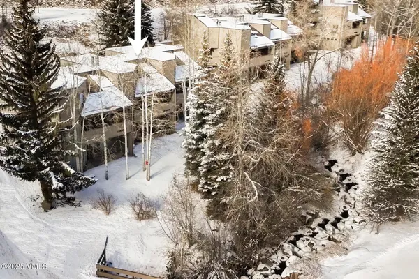 a view of a tree in a field
