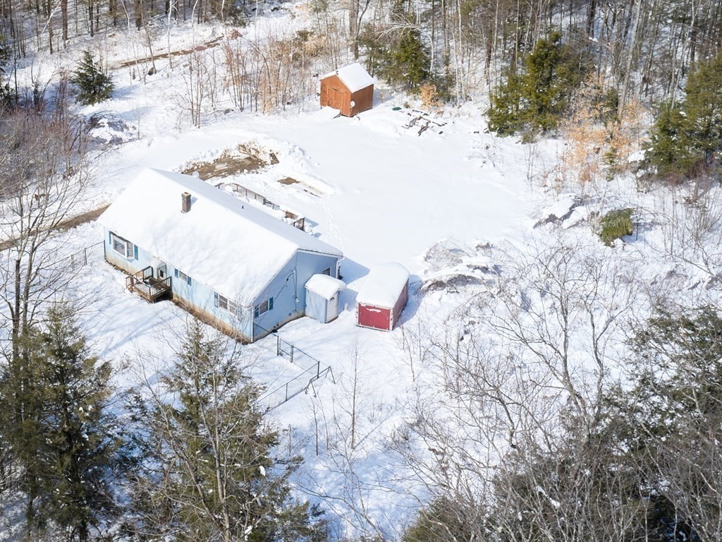 18 Gray Road Templeton, MA 01468 - Photo 37 of 38 a view of yard with trees