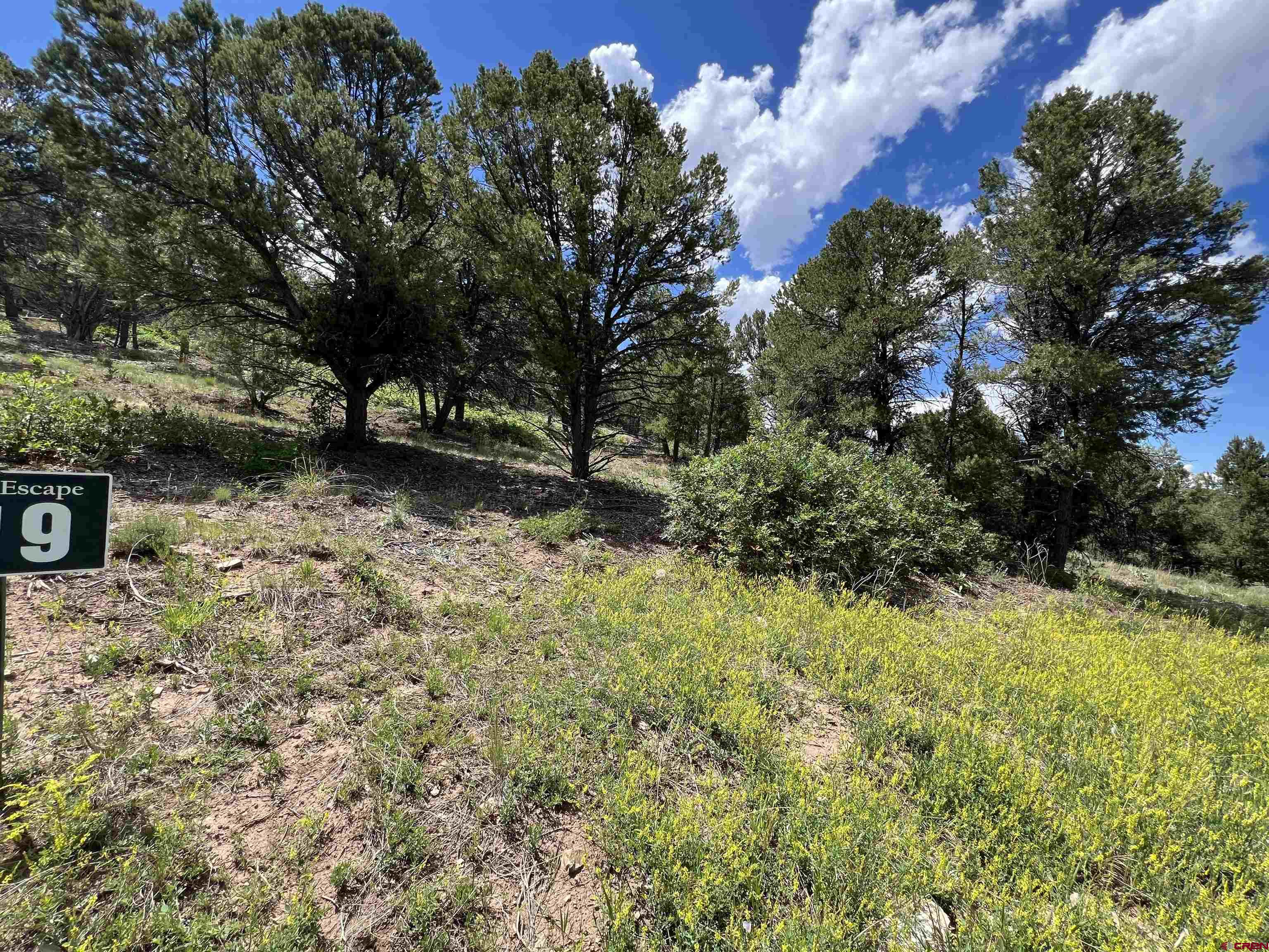 Lot 9 Pointe Escape Drive Ridgway, CO 81432 - Photo 2 of 33