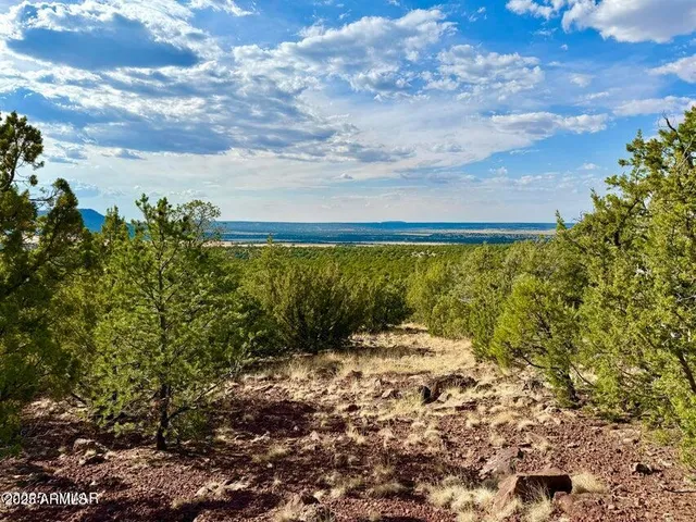 a view of balcony and trees