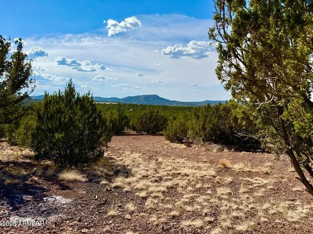 a view of a yard with a mountain
