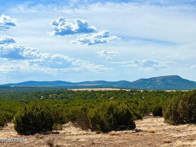 a view of a lake with a mountain in the background