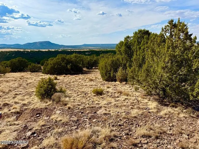 a view of a yard with wooden fence