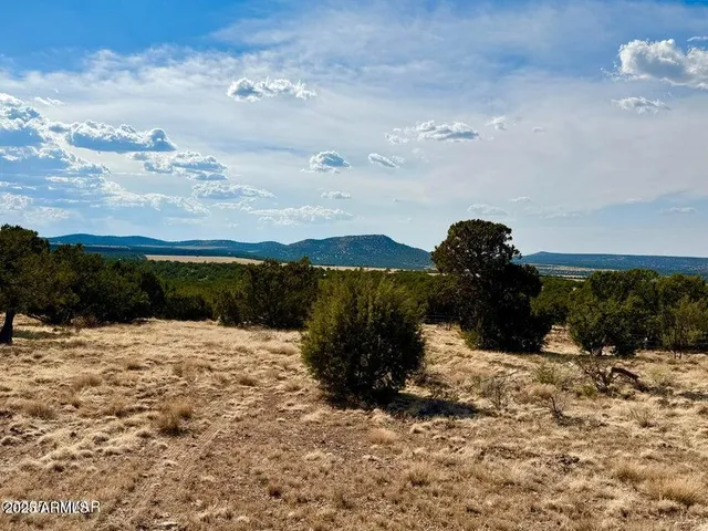 a view of a yard with wooden fence