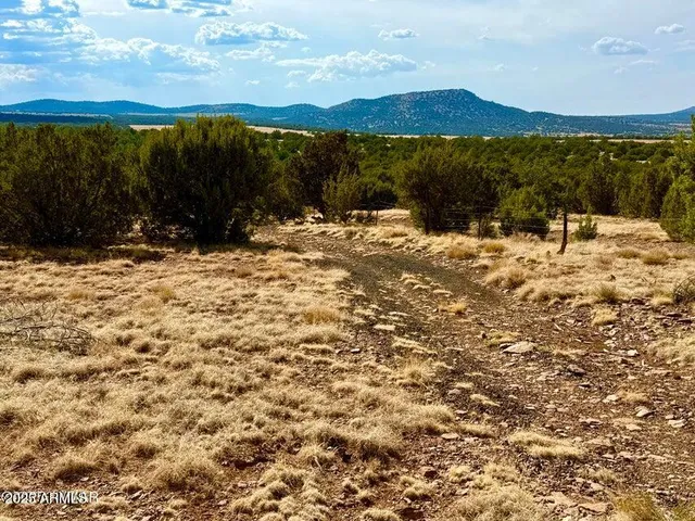 a view of a yard with an outdoor space