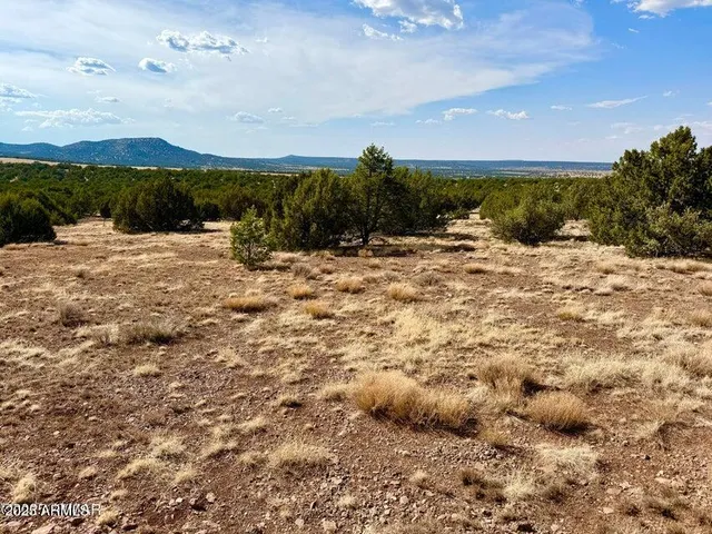 a view of a big yard with plants and large trees