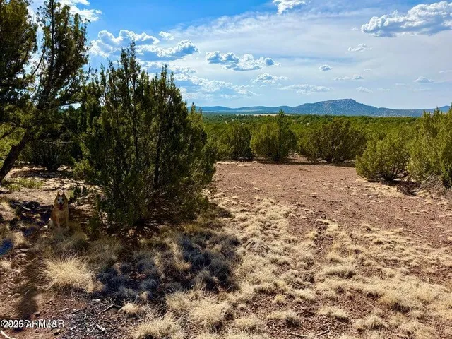 a view of house with yard